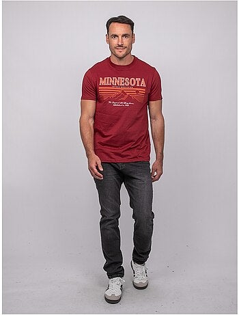 T-shirt a maniche corte in cotone con stampa montagna jampago
