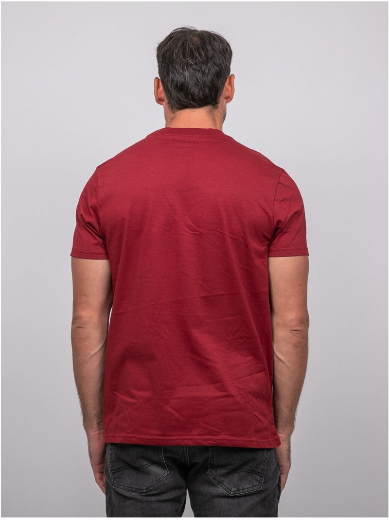 T-shirt a maniche corte in cotone con stampa montagna jampago Bordeaux - Kiabi