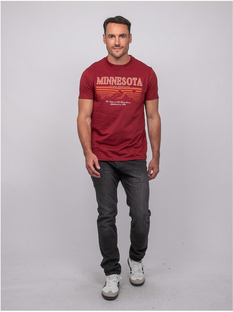 T-shirt a maniche corte in cotone con stampa montagna jampago Bordeaux - Kiabi