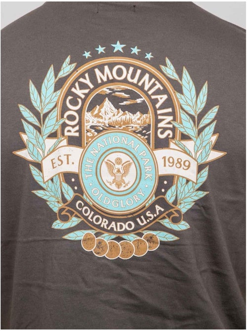 T-shirt a maniche corte in cotone con stampa sul retro jargus - Kiabi T-shirt a maniche corte in cotone con stampa sul retro jargus - Kiabi