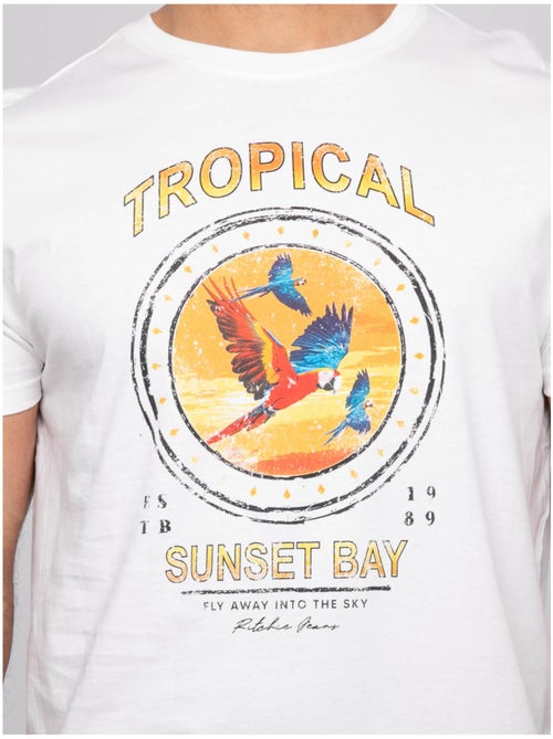 T-shirt a maniche corte NALAGO - Kiabi