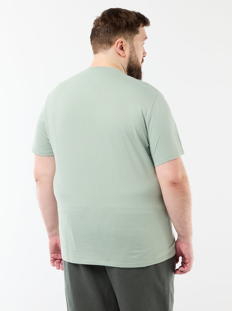 T-shirt a maniche corte stampata Verde - Kiabi
