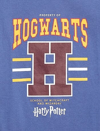 T-shirt a maniche lunghe stampata 'Harry Potter'