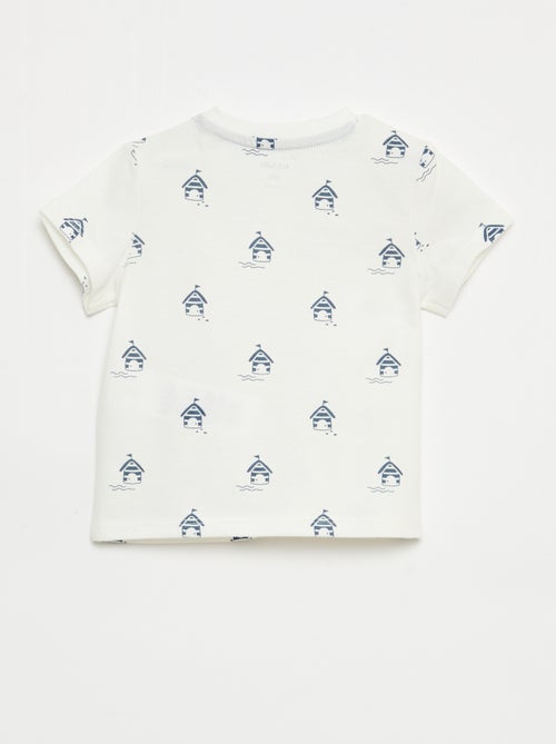 T-shirt basic in jersey di cotone - Kiabi