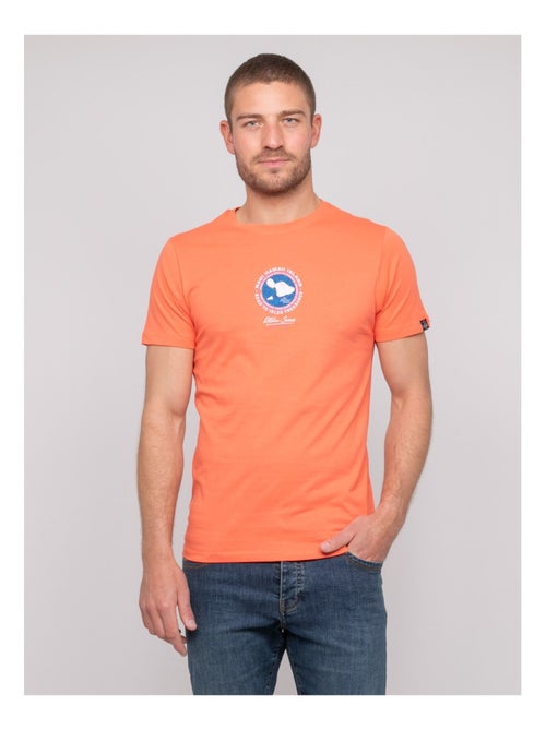 T-shirt cotone con motivi NANTORIN - Kiabi