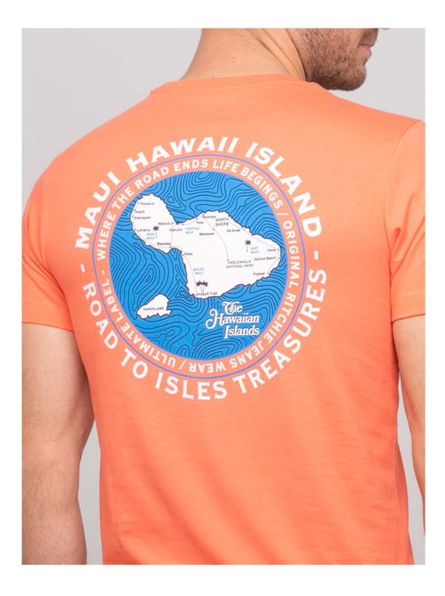 T-shirt cotone con motivi NANTORIN - Kiabi