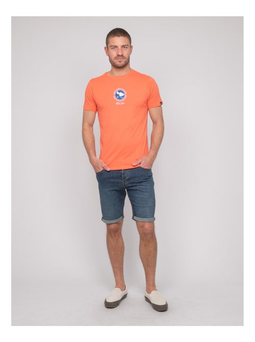 T-shirt cotone con motivi NANTORIN - Kiabi