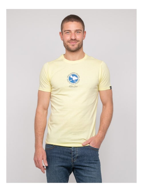 T-shirt cotone con motivi NANTORIN - Kiabi