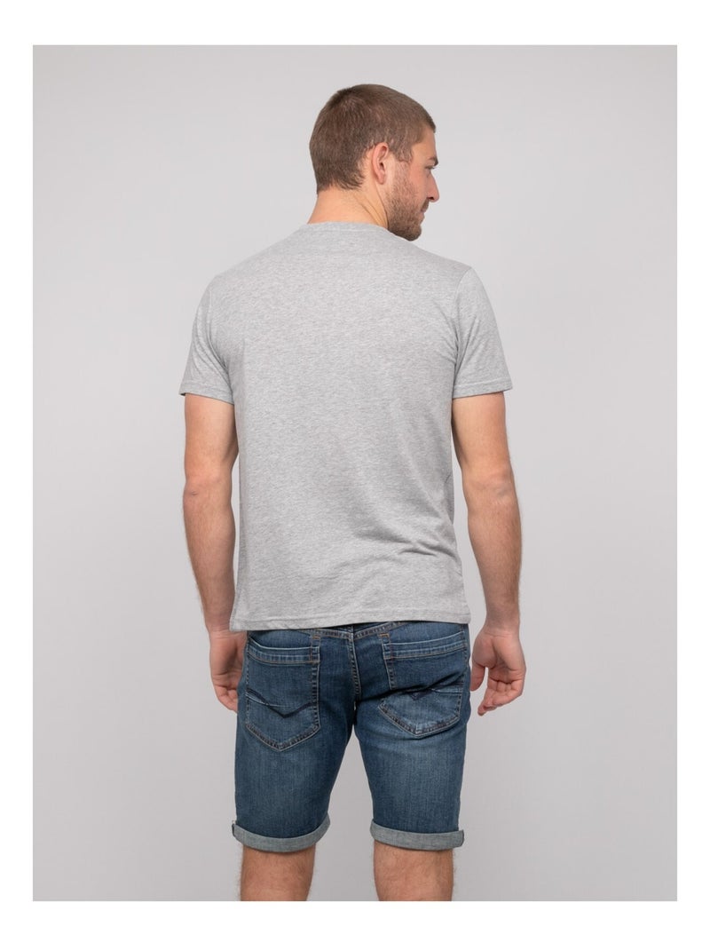 T-shirt cotone con motivi NERUPILI Grigio melangiato - Kiabi