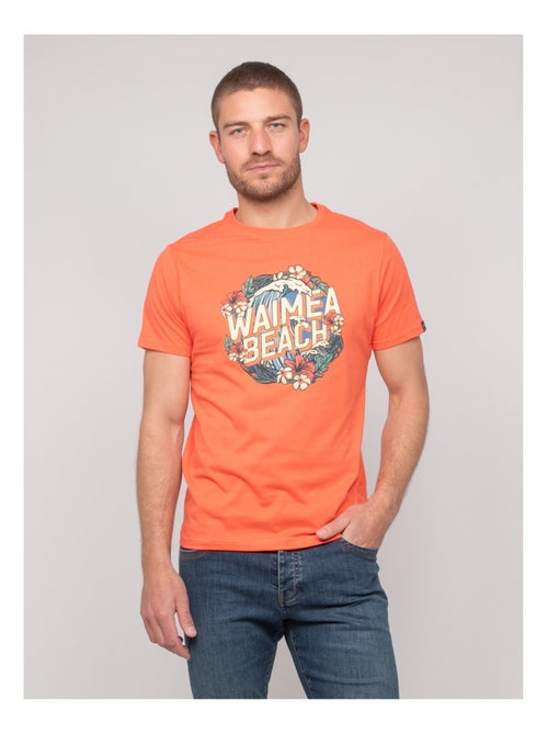 T-shirt cotone con motivi NEWILMO - Kiabi