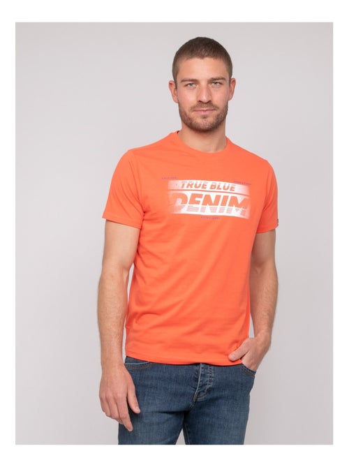 T-shirt cotone con motivi NOLOUP - Kiabi