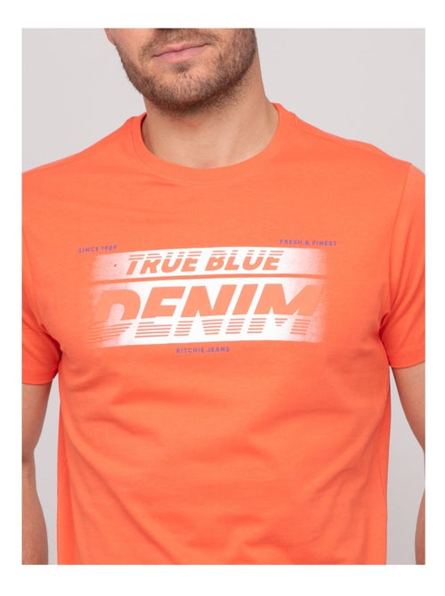 T-shirt cotone con motivi NOLOUP - Kiabi