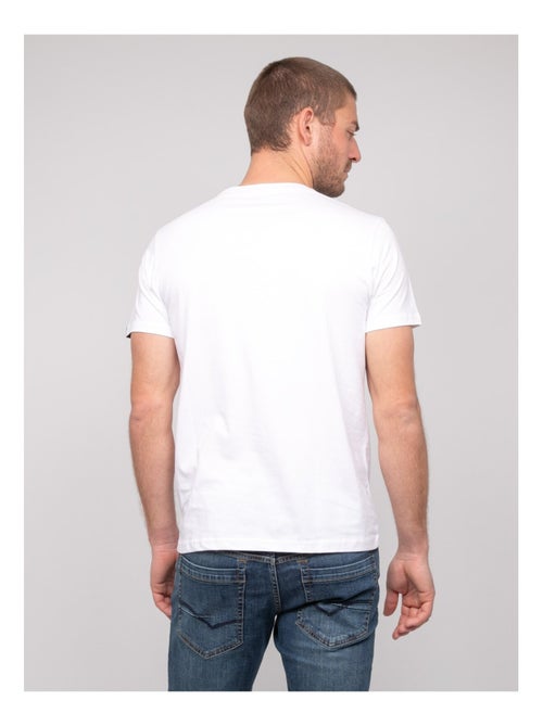 T-shirt cotone con motivi NOLOUP - Kiabi