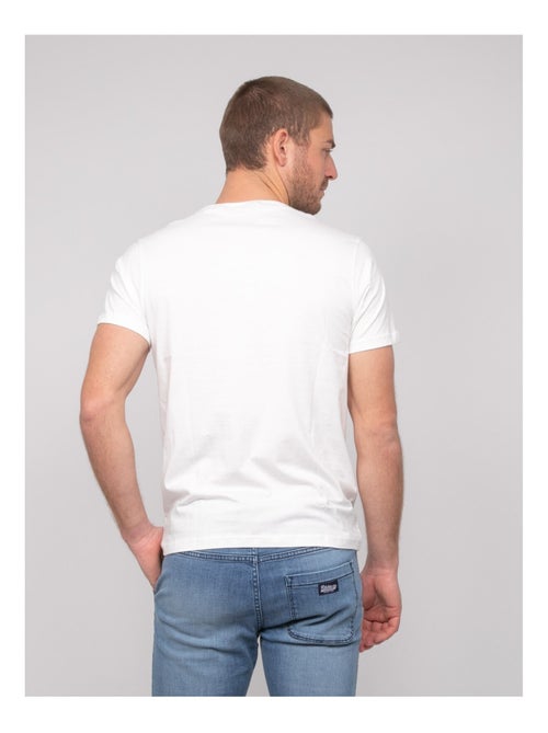 T-shirt cotone con motivi NORDOIT - Kiabi