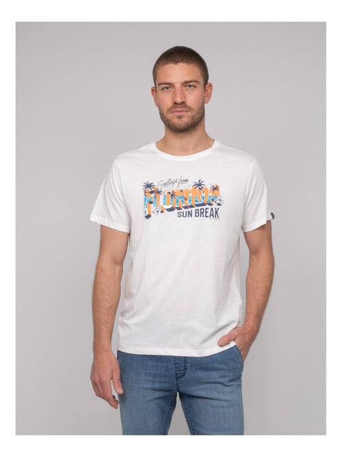 T-shirt cotone con motivi NOURITO - Kiabi