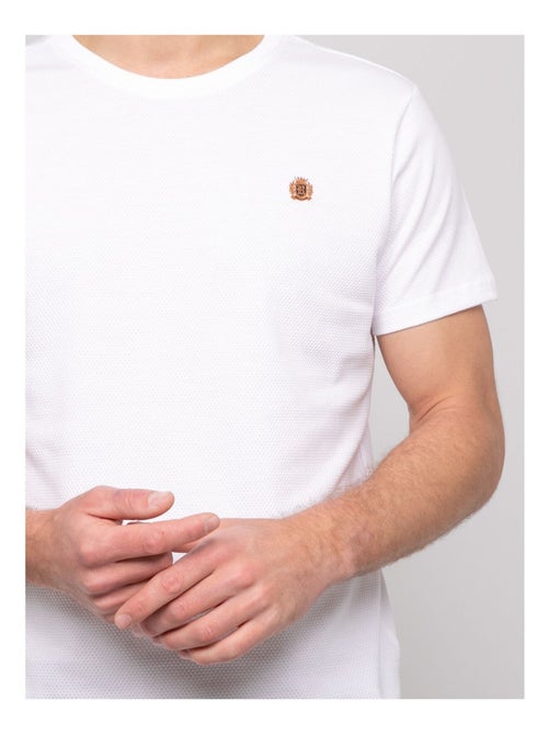 T-shirt cotone NOCERA - Kiabi