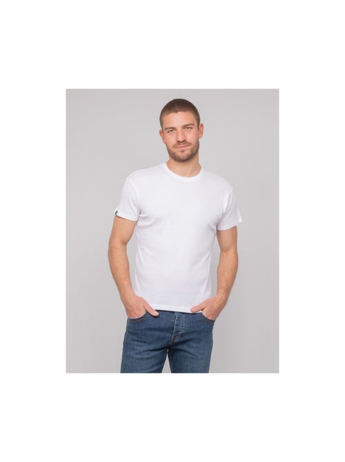 T-shirt girocollo cotone a costine WALTER - Kiabi