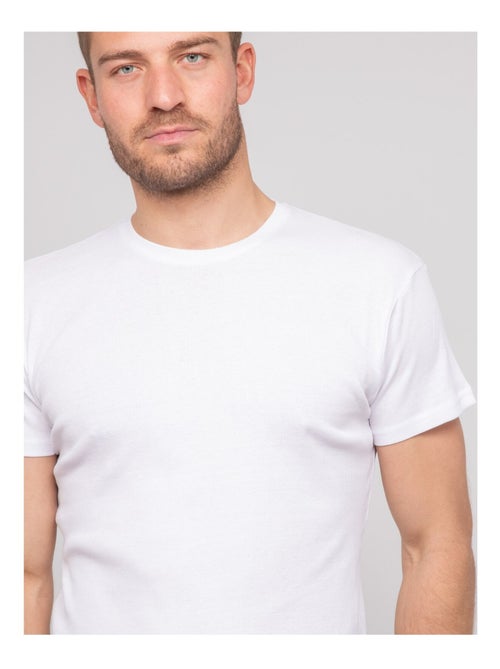 T-shirt girocollo cotone a costine WALTER - Kiabi