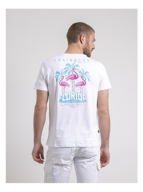 T-shirt girocollo puro cotone NARUBA - Kiabi