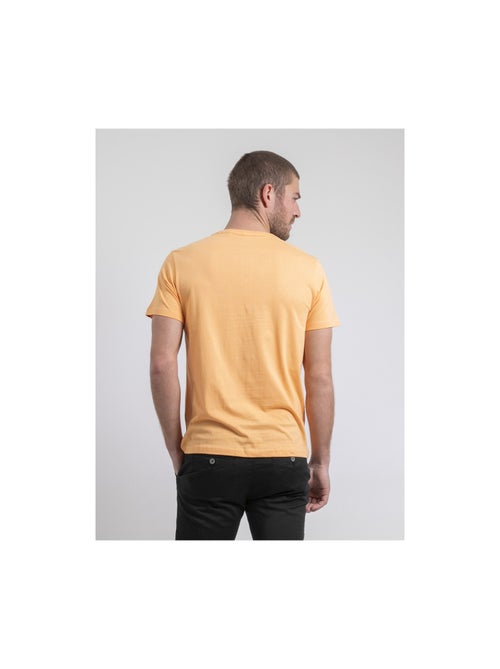 T-shirt girocollo puro cotone NOUKIWI - Kiabi