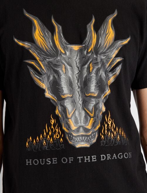 T-shirt cabeça de dragão - CINZA - Kiabi - 10.00€