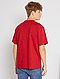     T-shirt in puro cotone eco-sostenibile vista 4
