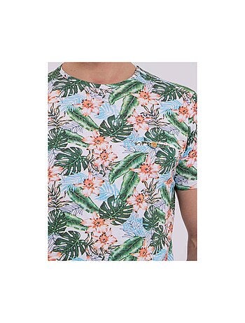 T-shirt maniche corte girocollo puro cotone NIBOLTA