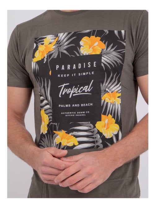 T-shirt maniche corte girocollo puro cotone NOCTAVIO - Kiabi