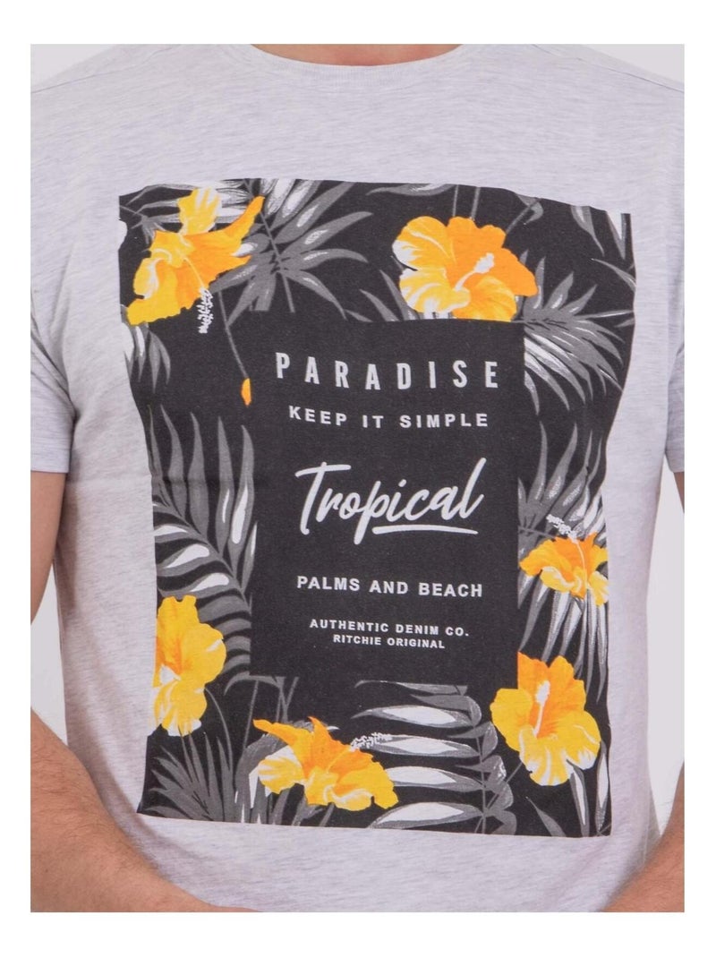 T-shirt maniche corte girocollo puro cotone NOCTAVIO Grigio - Kiabi