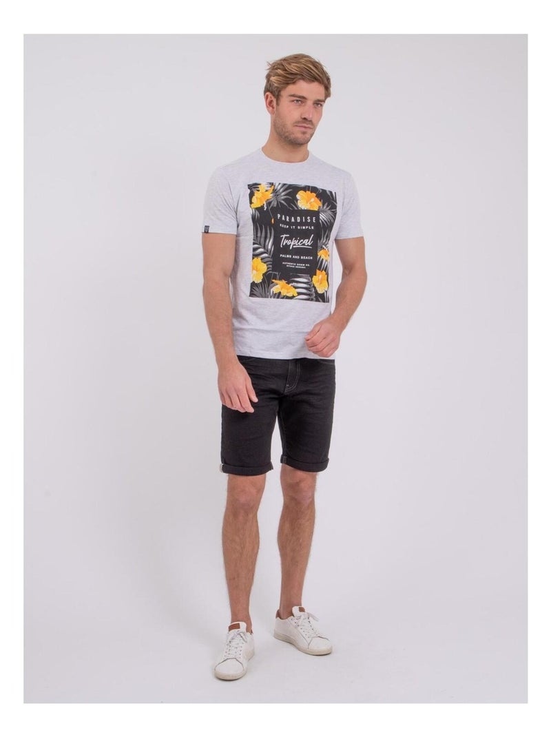 T-shirt maniche corte girocollo puro cotone NOCTAVIO Grigio - Kiabi