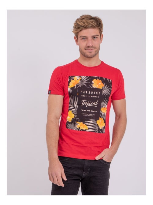 T-shirt maniche corte girocollo puro cotone NOCTAVIO - Kiabi