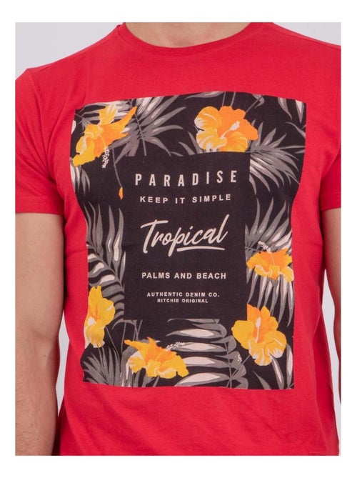 T-shirt maniche corte girocollo puro cotone NOCTAVIO - Kiabi