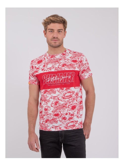 T-shirt maniche corte girocollo puro cotone NOLIBA - Kiabi