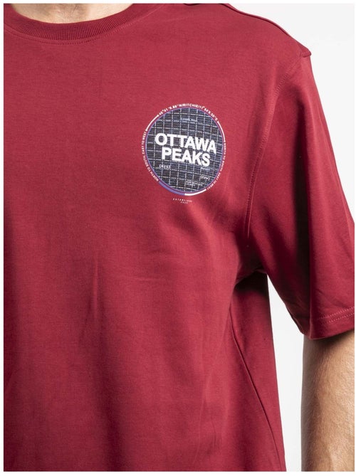 T-shirt maniche corte puro cotone oversize JONGAME - Kiabi