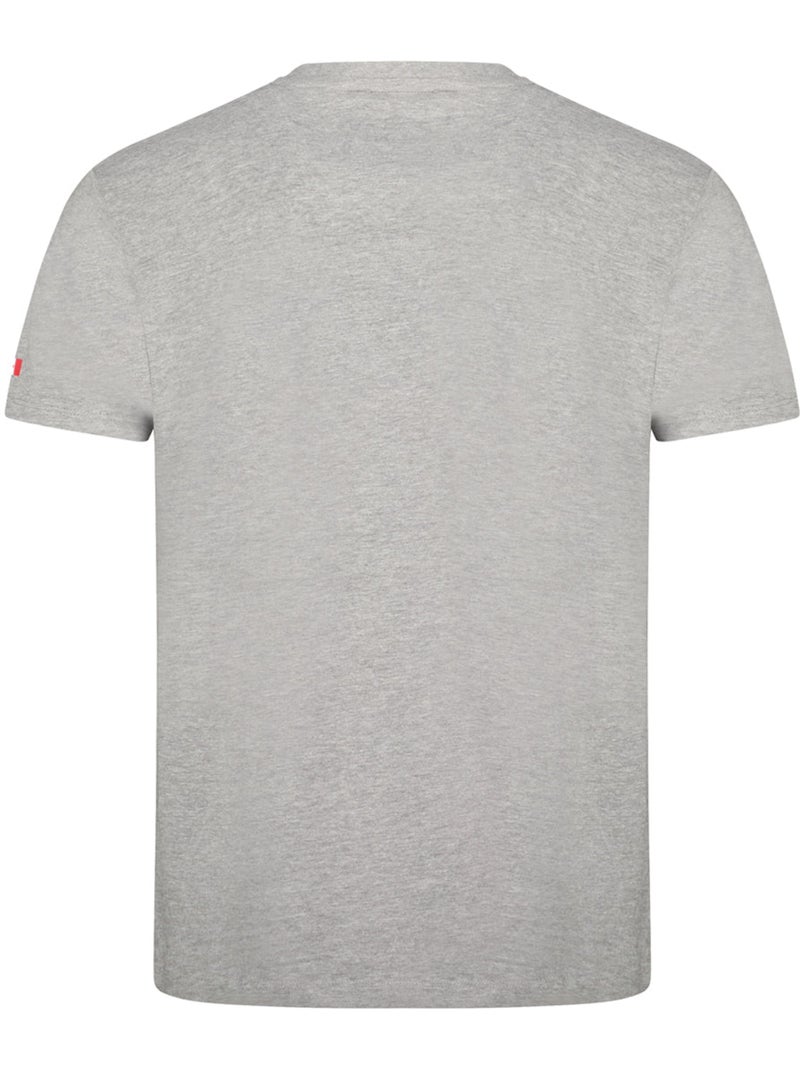 T-shirt stampata jacobeak – canadian peak Grigio chiaro - Kiabi