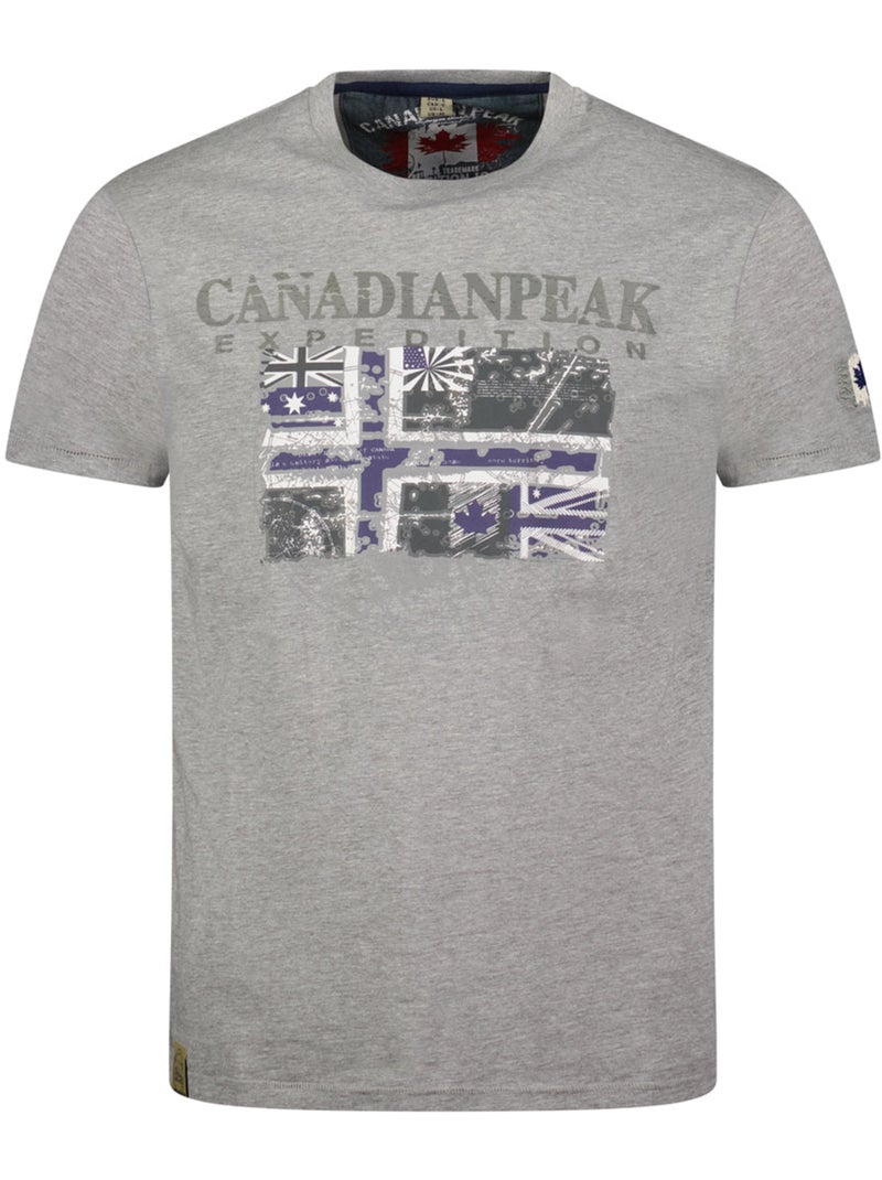 T-shirt stampata jaloneak – canadian peak Grigio chiaro - Kiabi