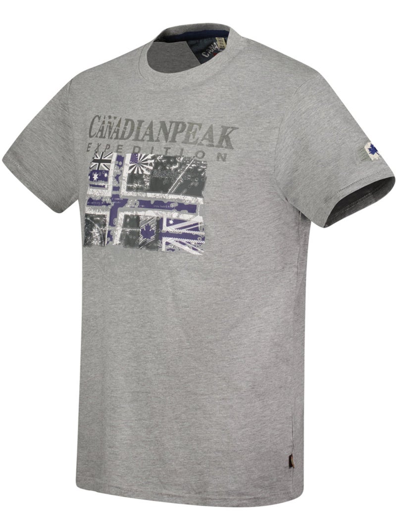 T-shirt stampata jaloneak – canadian peak Grigio chiaro - Kiabi