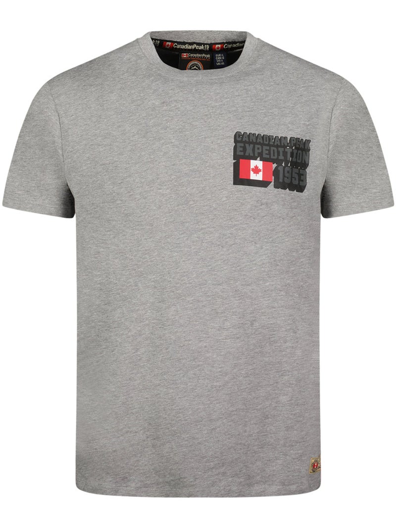 T-shirt stampata jistereak – canadian peak Grigio chiaro - Kiabi