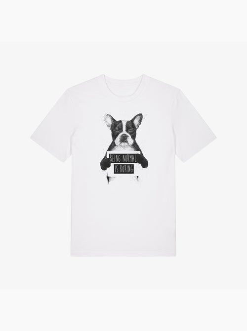 T-shirt Uomo - BEING NORMAL IS BORING - Kiabi