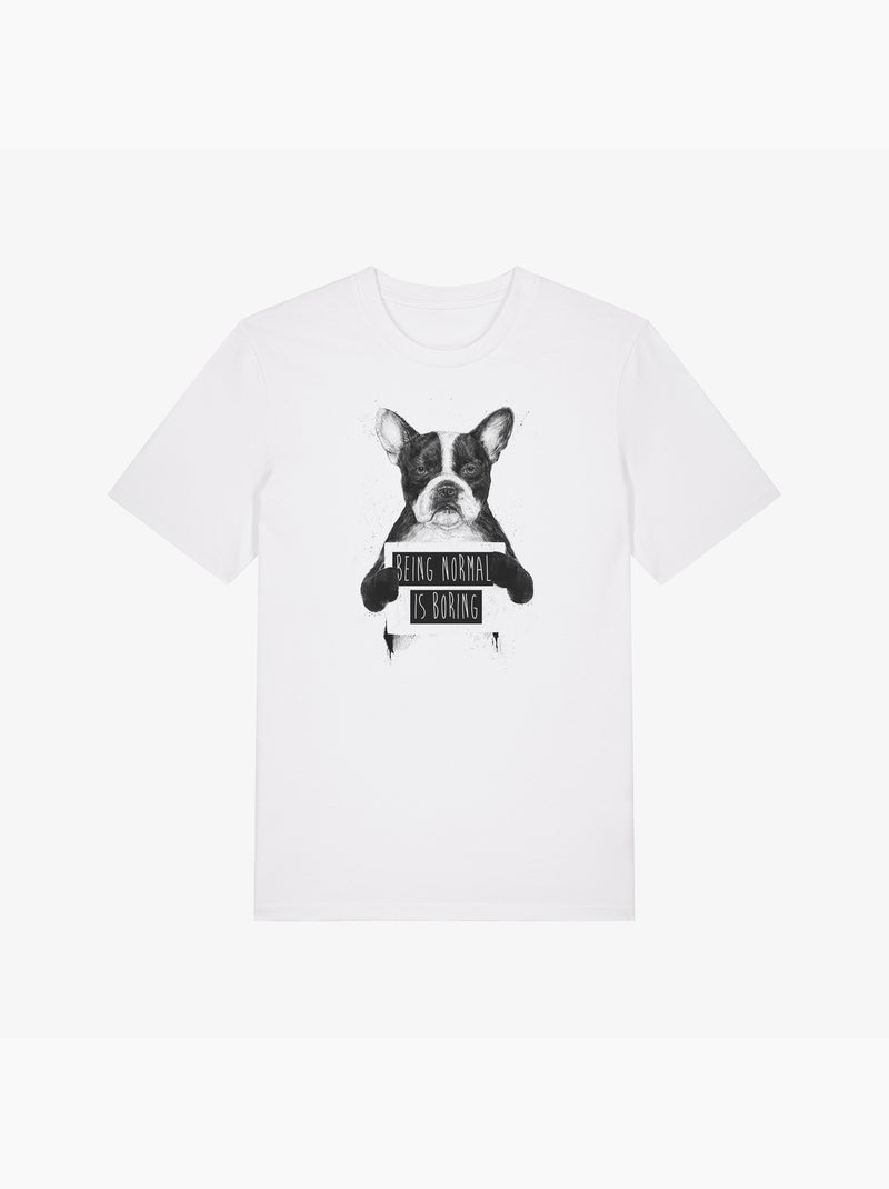 T-shirt Uomo - BEING NORMAL IS BORING Bianco - Kiabi