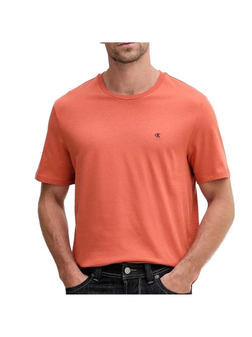 T-shirt Uomo Calvin Klein - Kiabi T-shirt Uomo Calvin Klein - Kiabi