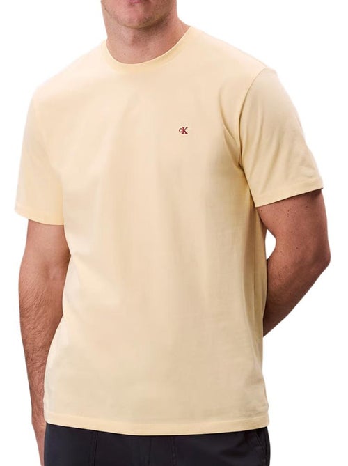 T-shirt Uomo Calvin Klein - Kiabi T-shirt Uomo Calvin Klein - Kiabi