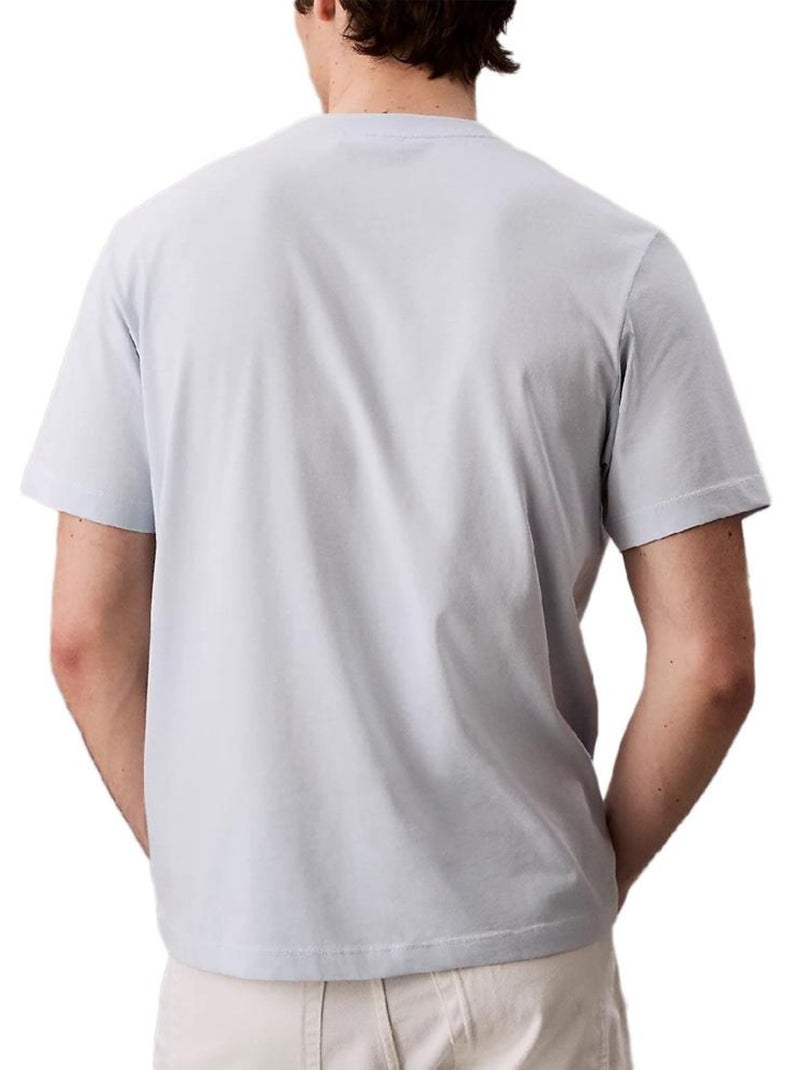 T-Shirt Uomo Calvin Klein Jeans Blu grigiastro - Kiabi