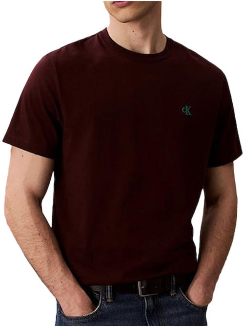 T-Shirt Uomo Calvin Klein Jeans - Kiabi