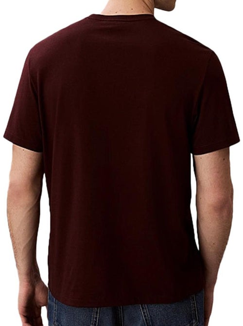 T-Shirt Uomo Calvin Klein Jeans - Kiabi