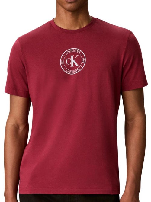 T-shirt uomo calvin klein jeans con logo - Kiabi T-shirt uomo calvin klein jeans con logo - Kiabi