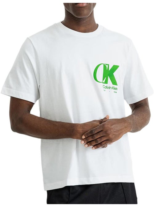 T-shirt Uomo Calvin Klein Jeans Cotone - Kiabi
