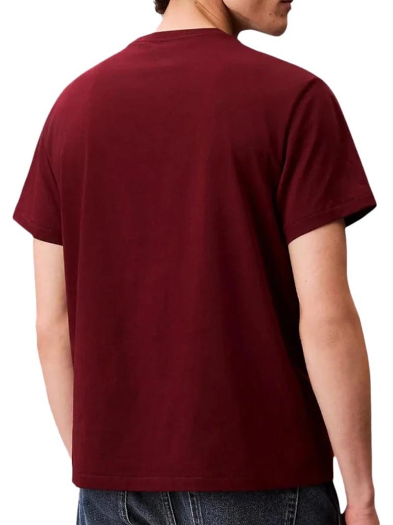 T-Shirt Uomo Calvin Klein Jeans Easy Rosso - Kiabi