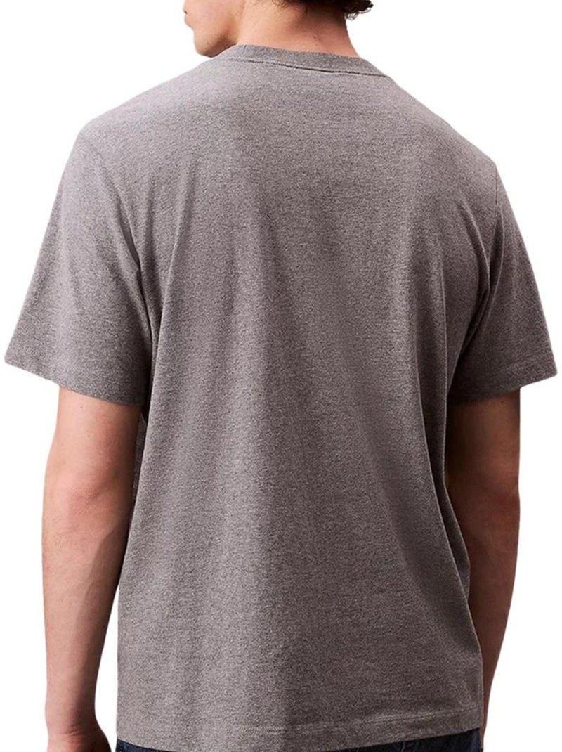 T-Shirt Uomo Calvin Klein Jeans Grigio - Kiabi