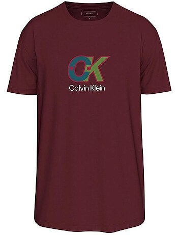 T-Shirt Uomo Calvin Klein Jeans